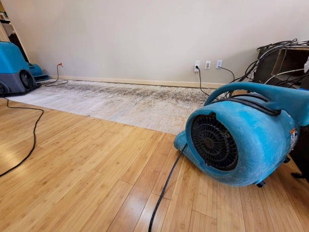 Professional Flood Damage Cleanup technician working in Watsonville, CA